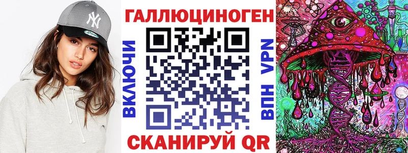 купить   Терек  Псилоцибиновые грибы Psilocybine cubensis 