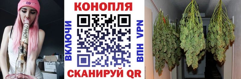 МАРИХУАНА VHQ Терек